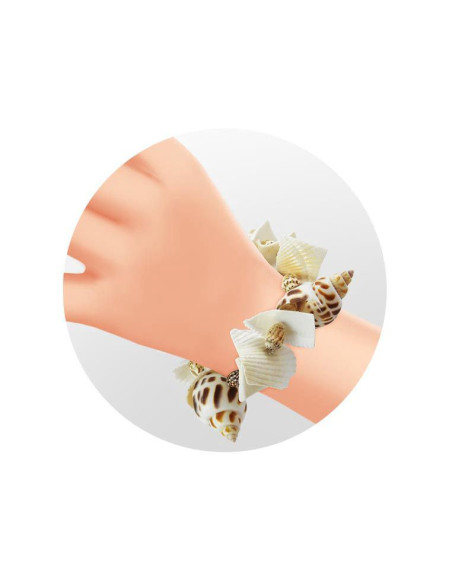 Kit de sapat - Scoici,BK441