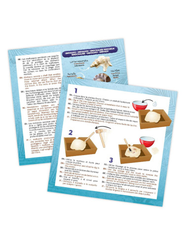 Kit de sapat - Scoici,BK441