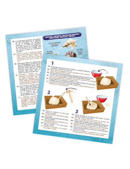 Kit de sapat - Scoici,BK441