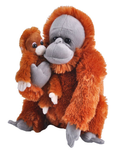 Mama si Puiul - Urangutan,WR23476