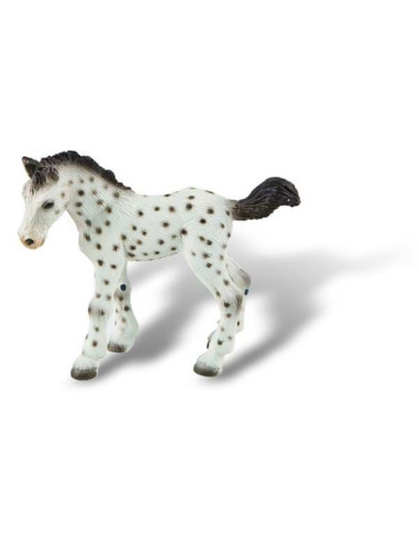 Manz cal Knabstrupper,BL4007176626733