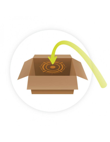 Minge Zburatoare,BKSP006