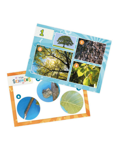 Mini Stiinta - Microscop,BK9003