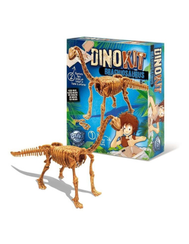 Paleontologie - Dino Kit - Brachiosaurus,BK439BRA Paleontologie - Dino Kit - Brachiosaurus,BK439BRA