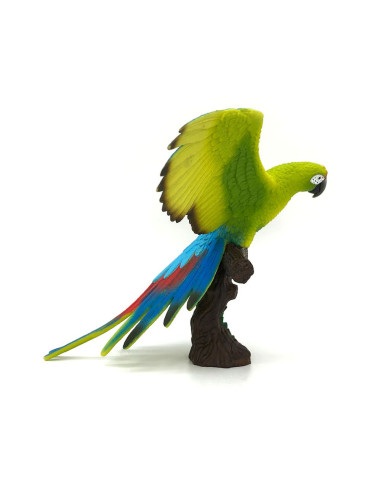 Papagal Macaw,BL4063847693923