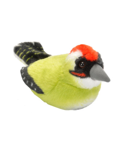 Pasare cu sunet Ciocanitoare Verde - GREEN WOODPECKER,WR19499