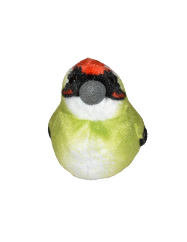 Pasare cu sunet Ciocanitoare Verde - GREEN WOODPECKER,WR19499