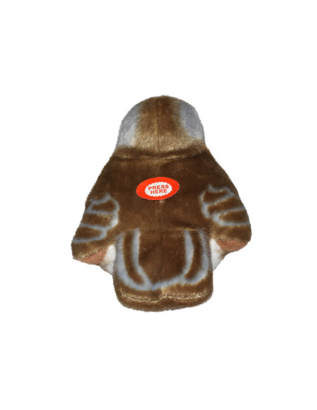 Pasare cu sunet Macaleandru - EUROPEAN ROBIN,WR19490