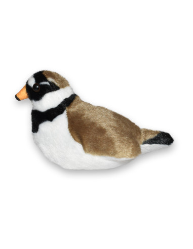 Pasare cu sunet Prundaras Gulerat Mic - RINGED PLOVER,WR23708