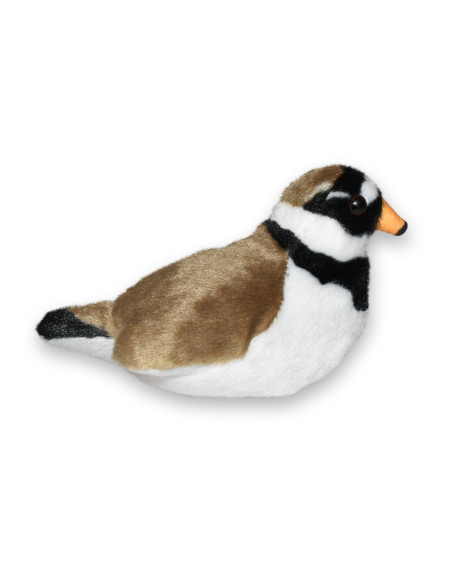 Pasare cu sunet Prundaras Gulerat Mic - RINGED PLOVER,WR23708
