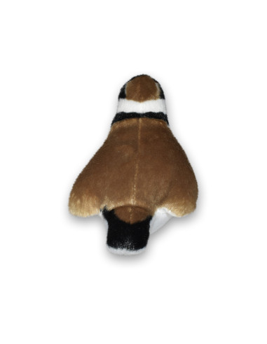 Pasare cu sunet Prundaras Gulerat Mic - RINGED PLOVER,WR23708