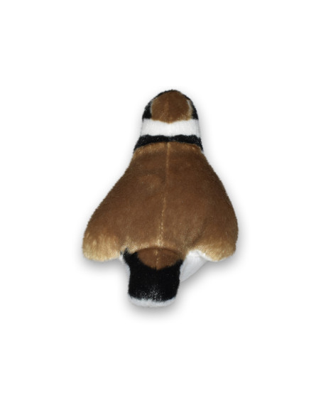 Pasare cu sunet Prundaras Gulerat Mic - RINGED PLOVER,WR23708