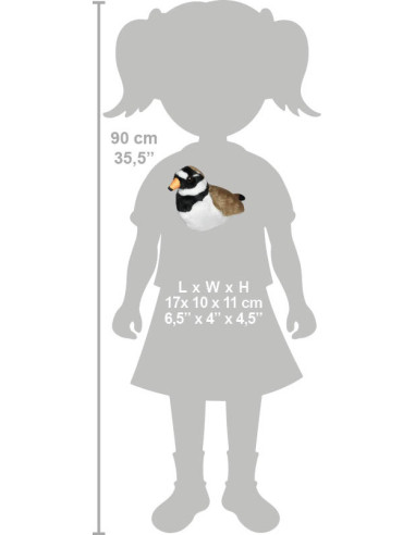 Pasare cu sunet Prundaras Gulerat Mic - RINGED PLOVER,WR23708