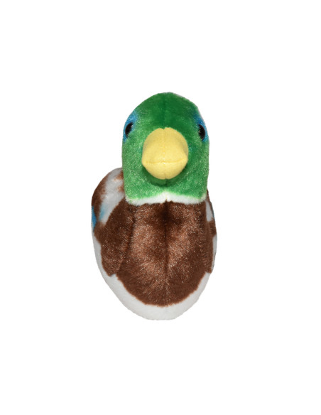 Pasare cu sunet Rata Salbatica - MALLARD DUCK,WR19596