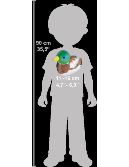 Pasare cu sunet Rata Salbatica - MALLARD DUCK,WR19596