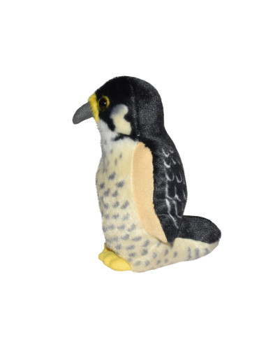 Pasare cu sunet Soim Calator - PEREGRINE FALCON,WR19598
