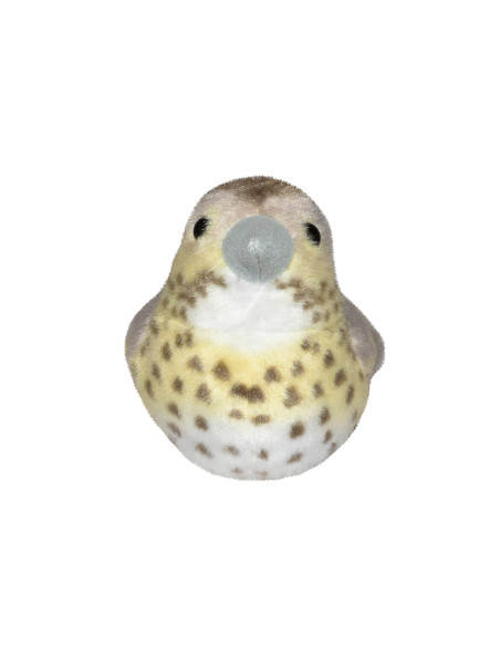 Pasare cu sunet Sturz cantator - SONG THRUSH,WR19497