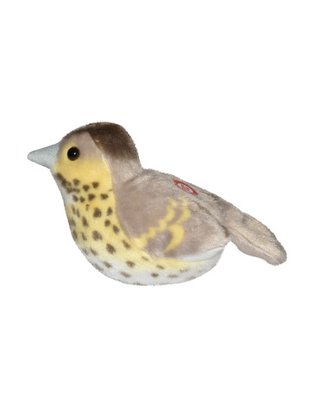 Pasare cu sunet Sturz cantator - SONG THRUSH,WR19497