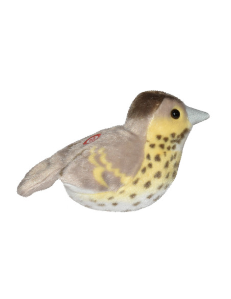 Pasare cu sunet Sturz cantator - SONG THRUSH,WR19497