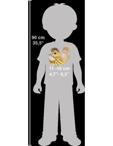 Pasare cu sunet Sturz cantator - SONG THRUSH,WR19497