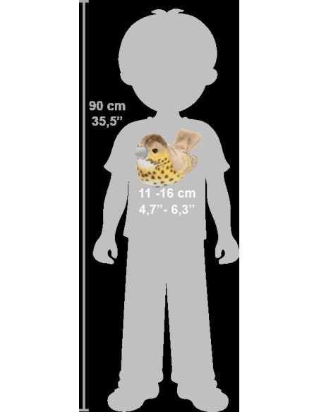 Pasare cu sunet Sturz cantator - SONG THRUSH,WR19497