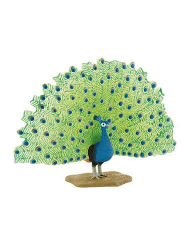 Paun,BL4007176693902