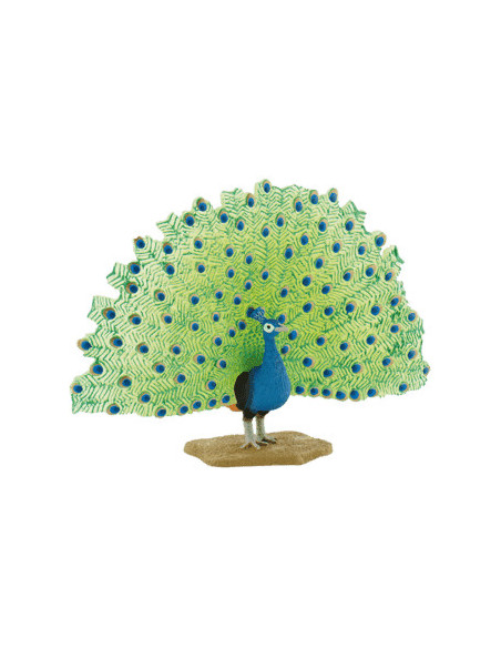 Paun,BL4007176693902