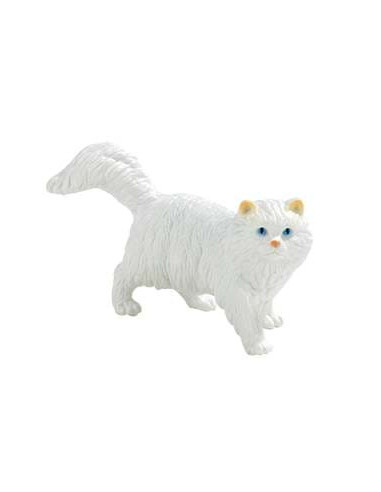 Pisica persana "Princess",BL4007176663653 Pisica persana "Princess",BL4007176663653