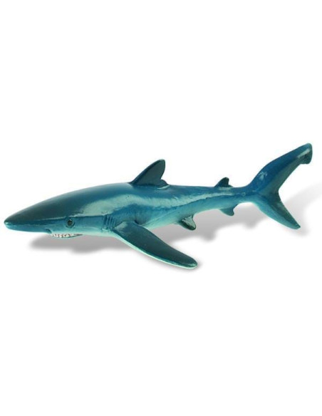 Rechin albastru,BL4007176674116