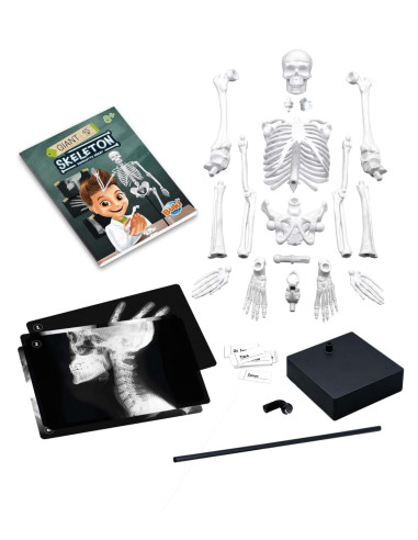 Schelet Gigant 45 cm,BK2180