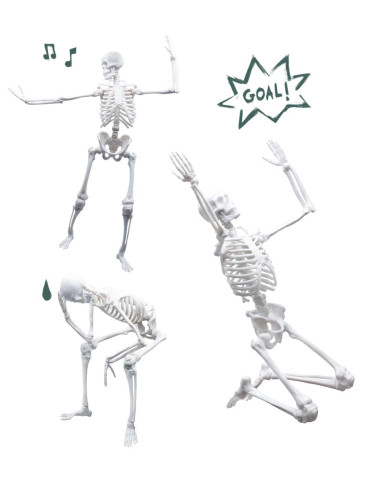 Schelet Gigant 45 cm,BK2180