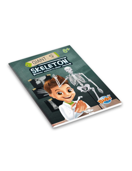 Schelet Gigant 45 cm,BK2180