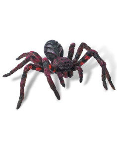 Wolf Spider,BL4007176684306 2