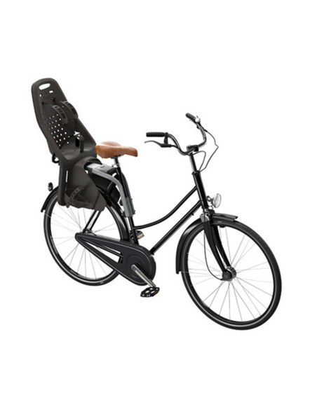 TA12020231,Scaun pentru copii, cu montare pe bicicleta in spate - Thule Yepp Maxi Frame mounted, Black