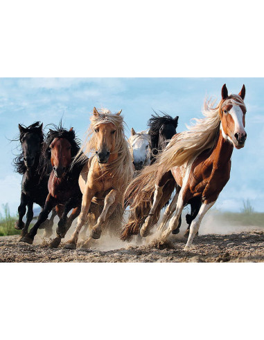 TR-10446|10446,Puzzle Trefl 1000 Cai La Galop