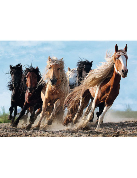 TR-10446|10446,Puzzle Trefl 1000 Cai La Galop