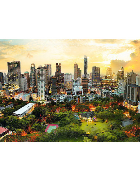 TR-33060,Puzzle Trefl 3000 Apus In Bangkok