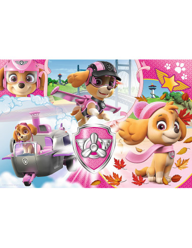 TR-16368,Puzzle Trefl 100 Skye In Actiune