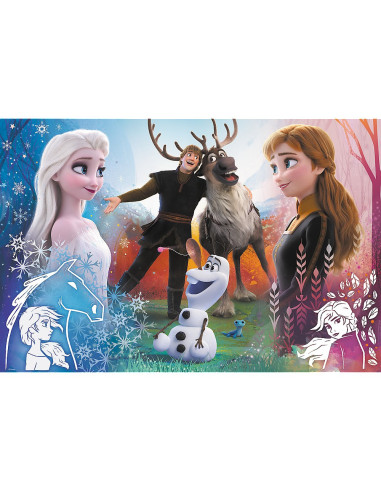 TR-23006,Puzzle Trefl 300 Disney Frozen 2 Magia