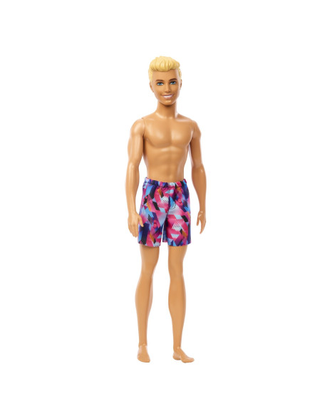 MTHPV23,Barbie Papusa Ken La Plaja