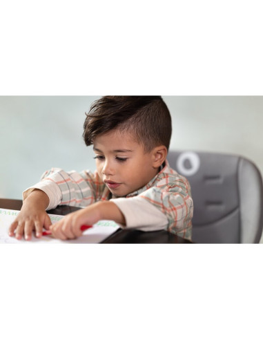 BN-LO-MONA_BLACK_ONYX,Lionelo - Scaun de masa Mona, 4 in 1, Transformabil, Reglabil in inaltime in 3 pozitii, Conform cu standar