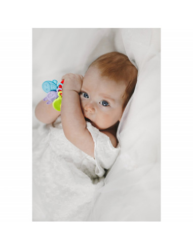 UP-bj_6445,Jucarie dentitie Rattle Teether BabyJem (Culoare: Bleu)