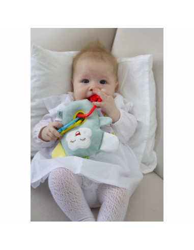 UP-bj_6932,Jucarie din plus pentru bebelusi cu inele dentitie Funny Monkey BabyJem (Culoare: Roz)