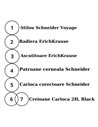 EAN-015609,Set stilou Schneider Voyage vernil, patroane, pic, creioane Carioca, radiera, ascutitoare Erichkrause
