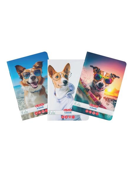 9480640-10,Set 10 Caiete Herlitz A5, 48 file dictando, Motiv Cool dog