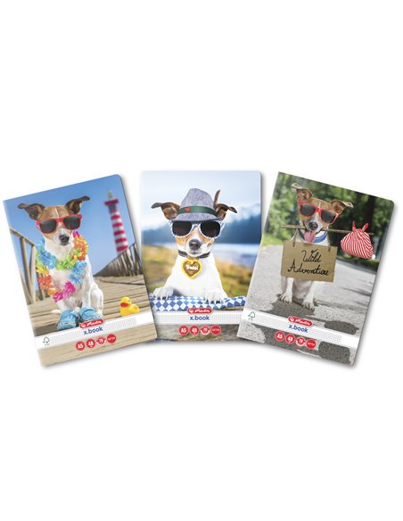 9480650-10,Set 10 Caiete Herlitz A5 48 file, Matematica, Motiv Cool Dog