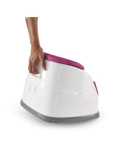 BB-11579,Ingenuity - Scaun de masa 2 in 1 Pink Flambe