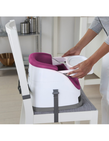 BB-11579,Ingenuity - Scaun de masa 2 in 1 Pink Flambe