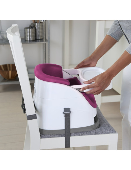 BB-11579,Ingenuity - Scaun de masa 2 in 1 Pink Flambe