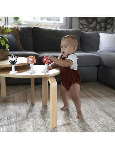 BB-12359,Baby Einstein - Set 3 jucarii multisenzoriale in forma de animalute